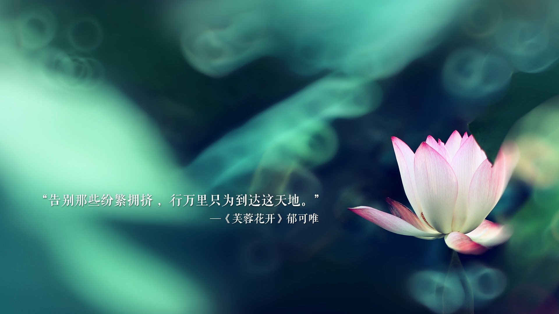 爱游戏体育APP下载-库里助力勇士夺取多个总冠军，开启“水花兄弟”盛世，库里水花组合