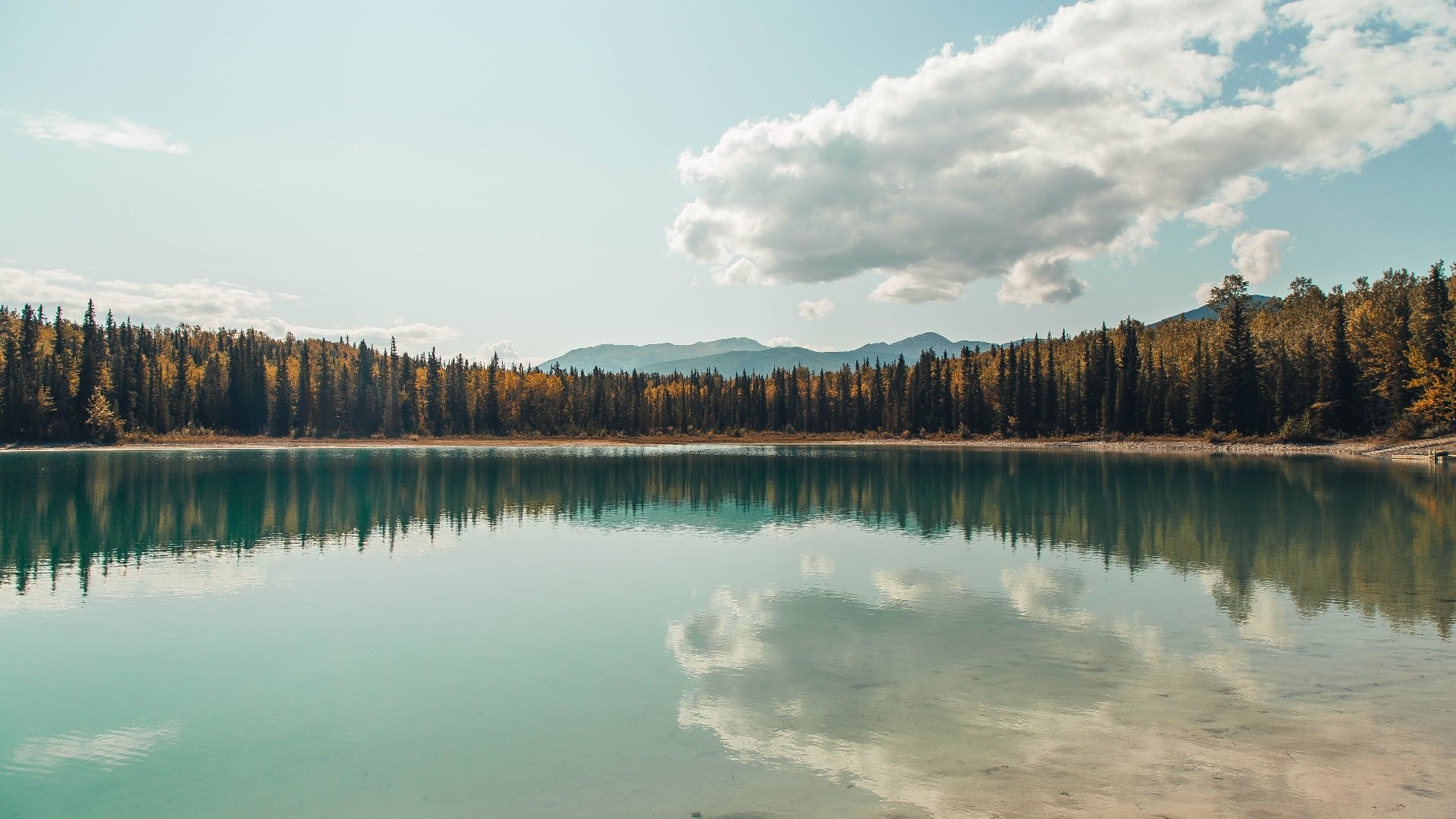 爱游戏娱乐平台-乒乓球反应速度提升技术不断升级，乒乓球反应速度提升技术不断升级的例子