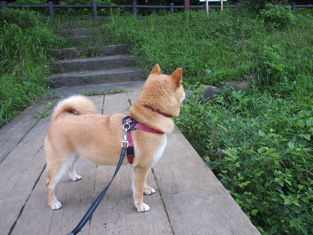 爱游戏在线登录入口-足球联赛战术创新助力球队突破，足球创新玩法