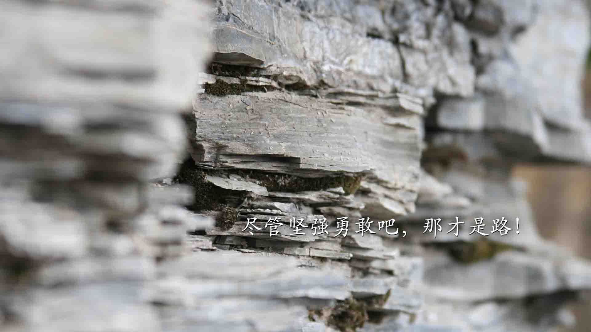 “亚戈·卡尔曼的精湛球技与决策能力，让阿根廷美洲狮队未来更具竞争力”