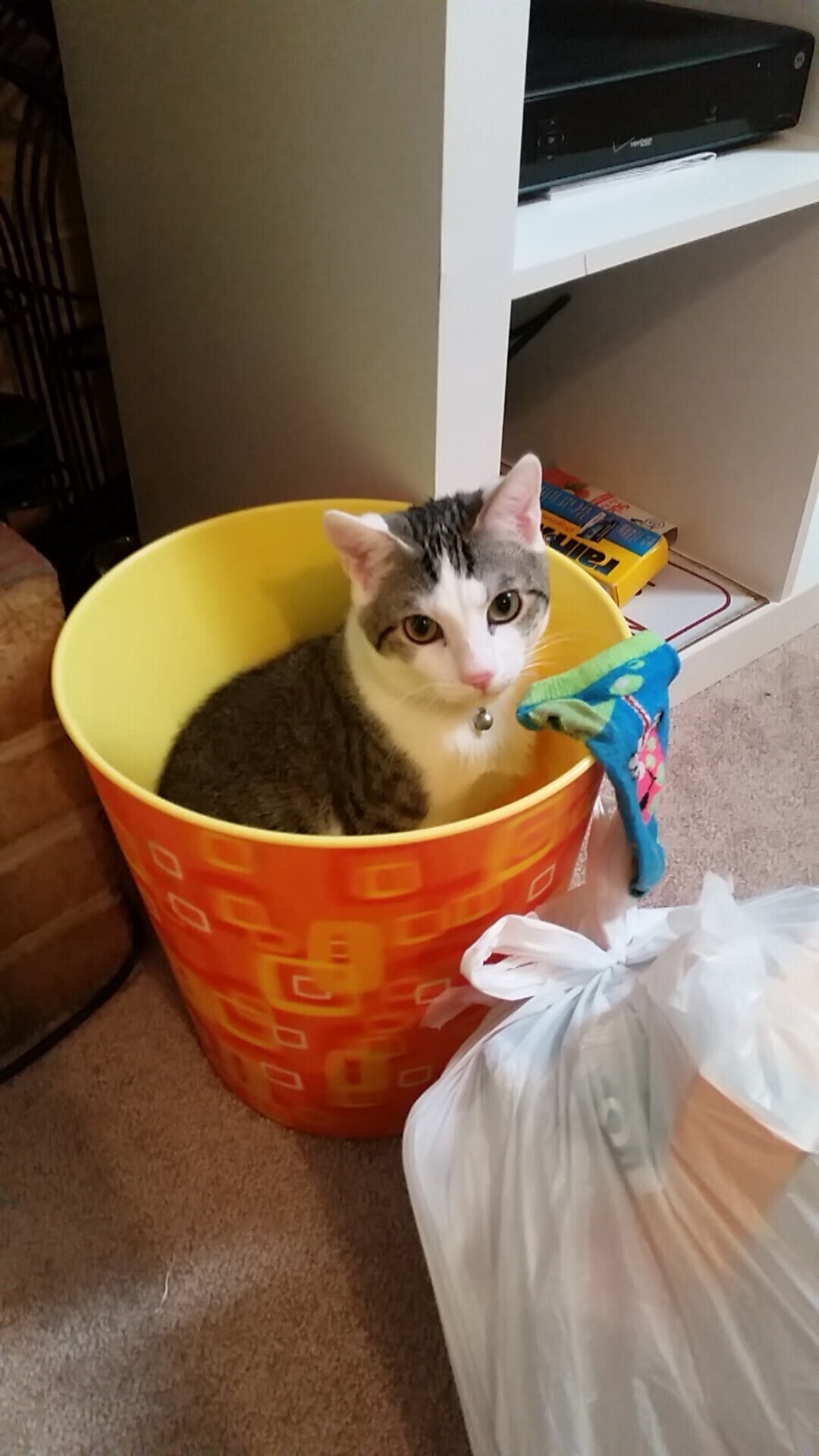 爱游戏体育app-卡萨斯决赛表现赢得教练高度评价，累卡萨斯