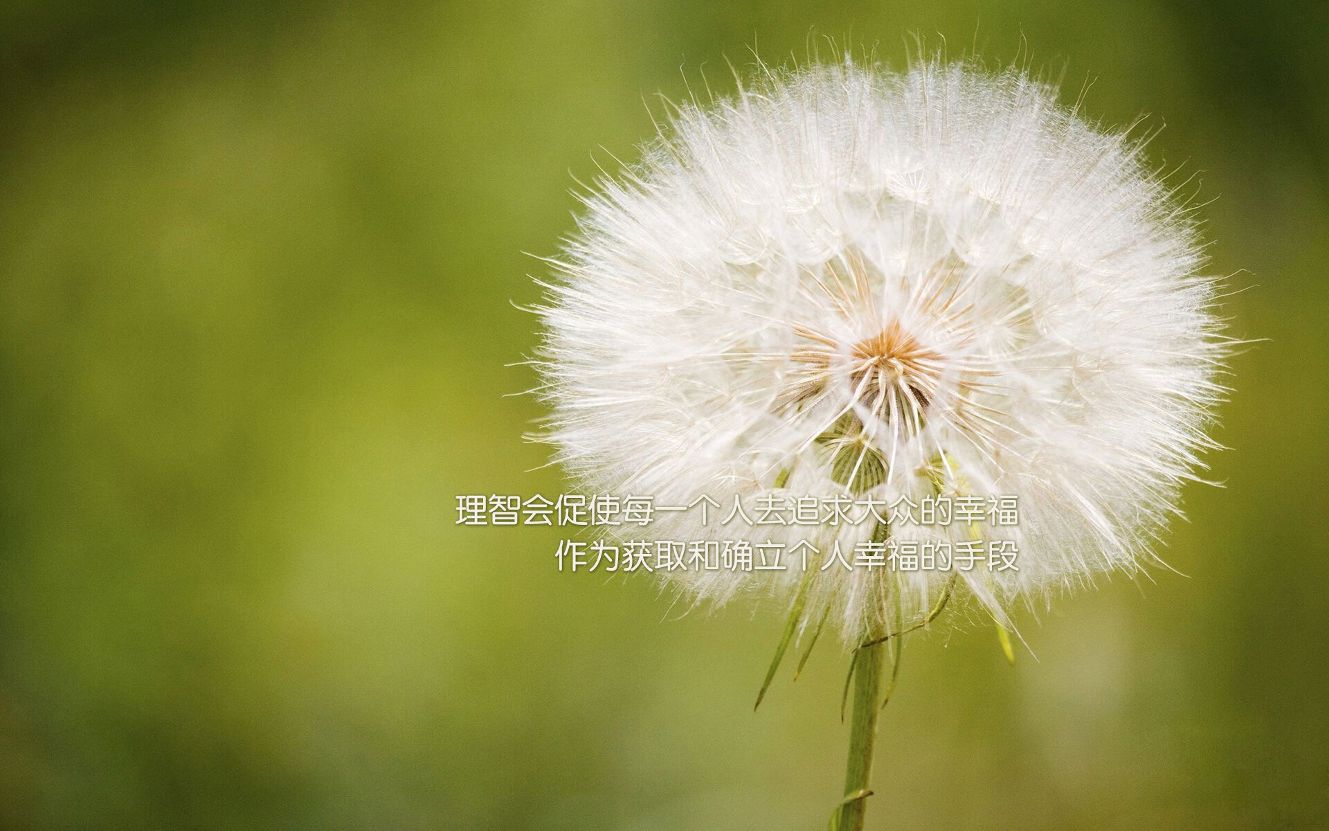 印度男篮在国际邀请赛中崭露头角，实力逐步提升