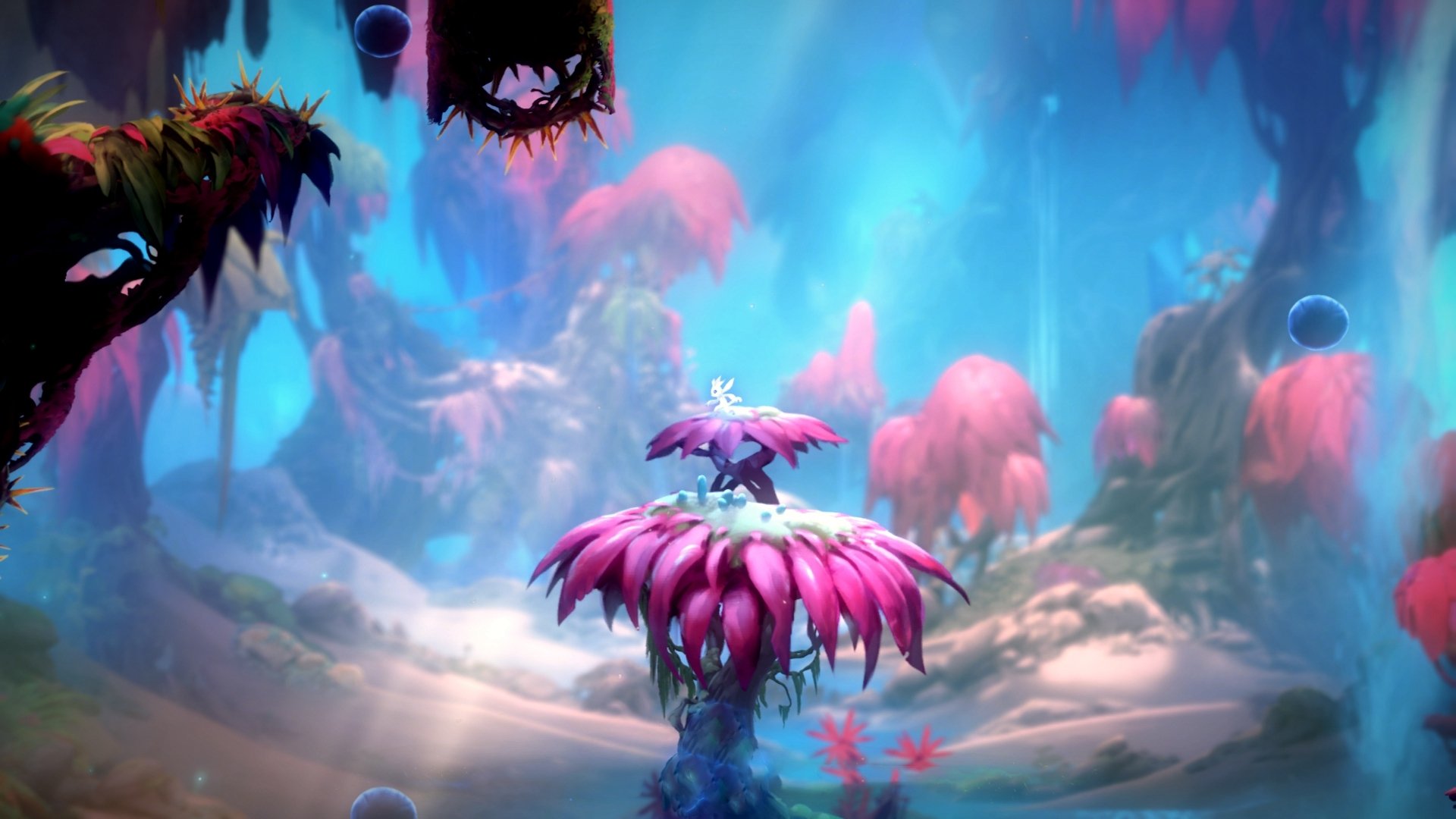 新西兰青训体系走向全球化,培养橄榄球新一代,新西兰橄榄球厉害吗