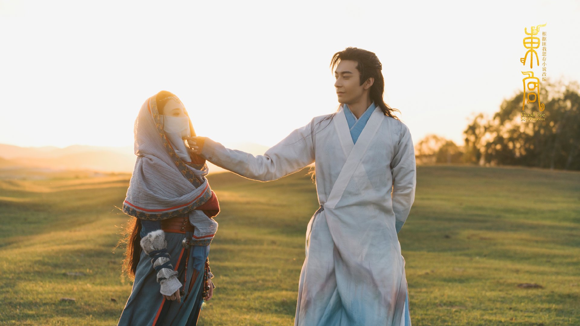 自由泳项目荷兰男将展现速度，荷兰弟游泳