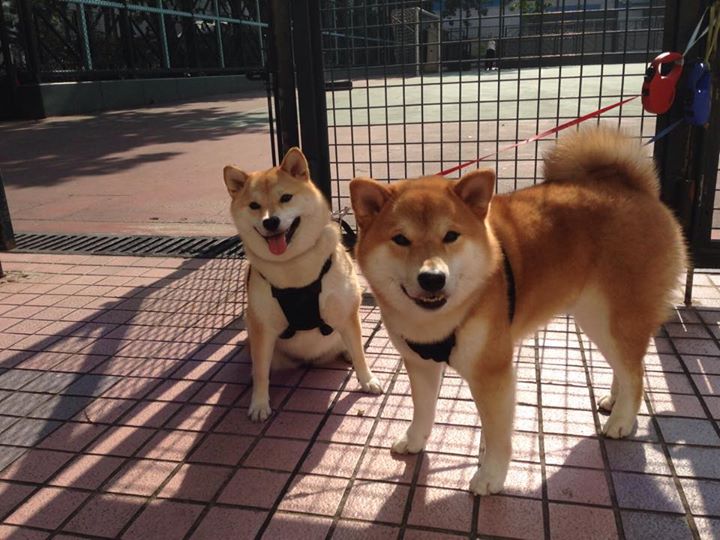 AYX体育-裁判员统一培训全面提升执法水平推动联赛健康发展，裁判人员培训的主要内容