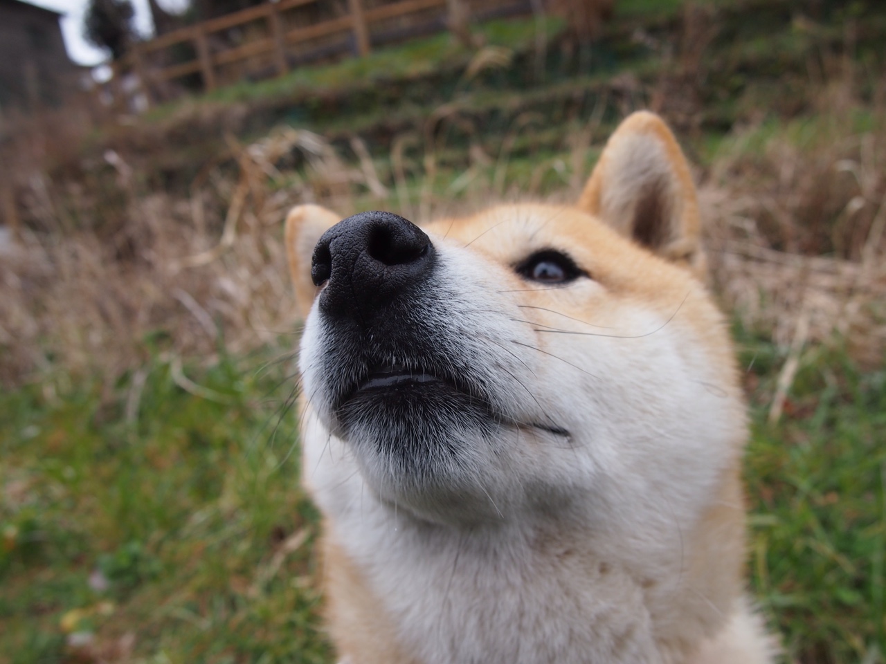 爱游戏体育APP下载-范奥特尔戴克蝉联国家队主力位置，范戴克是什么类型的后卫